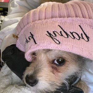 Not for sale.  This is my four legged child, I shop more for her then myself.